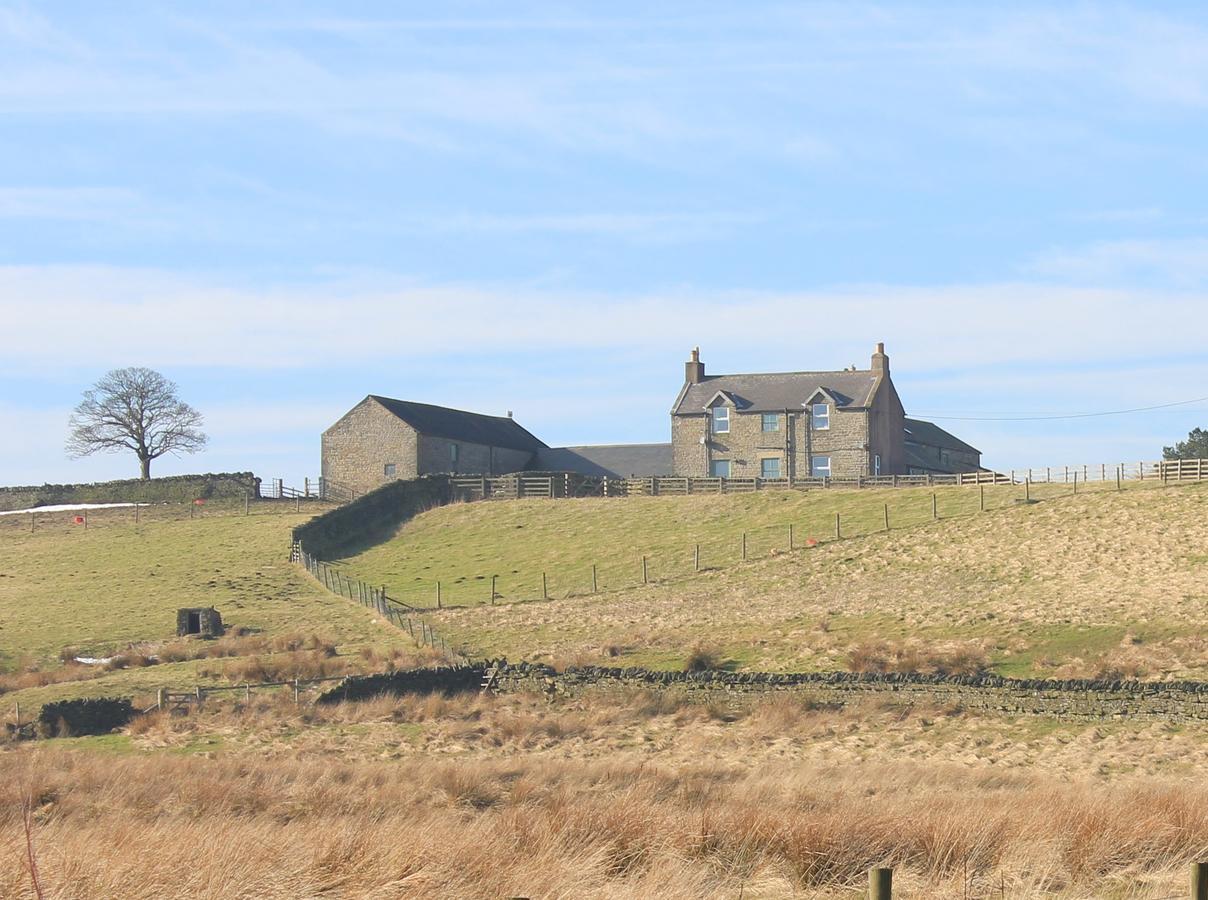High Keenley Fell Farm Allendale Extérieur photo