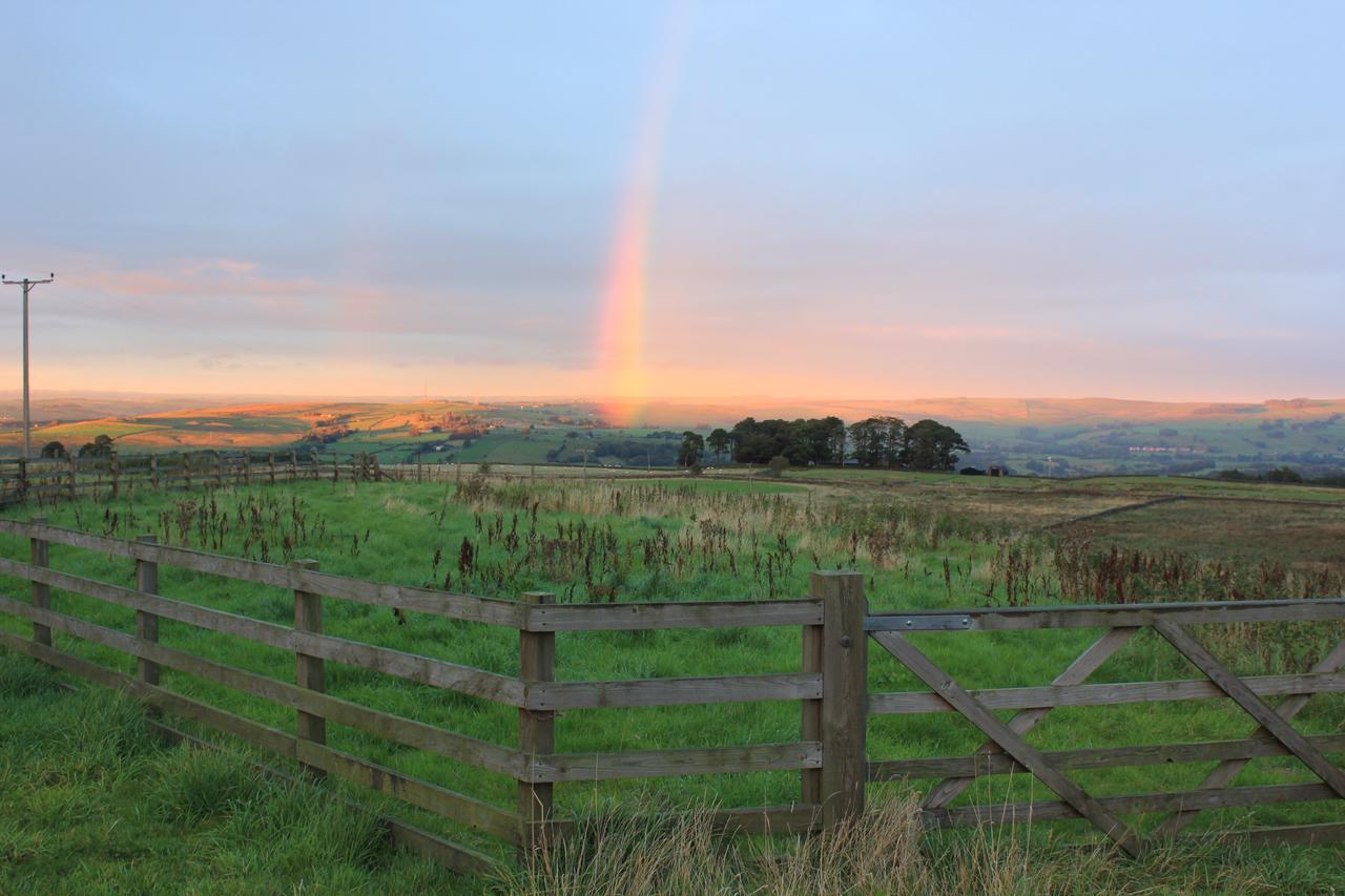 High Keenley Fell Farm Allendale Extérieur photo