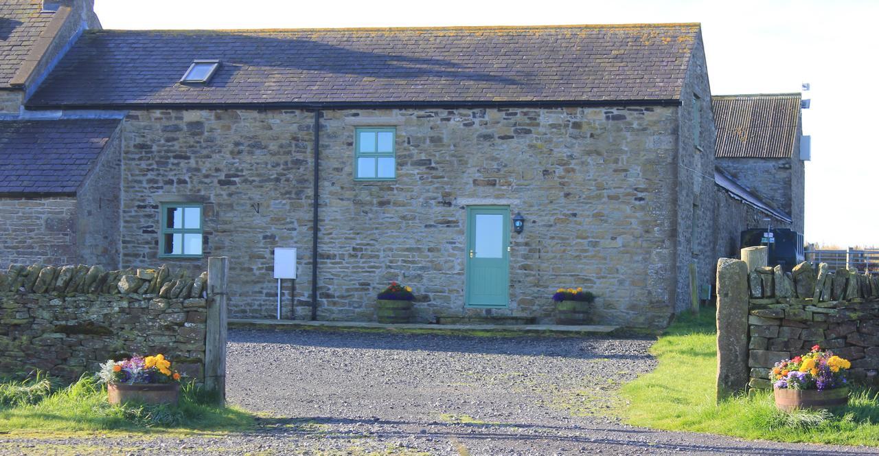 High Keenley Fell Farm Allendale Extérieur photo